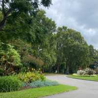墨爾本景點✨英式庭園風Carlton Garden
