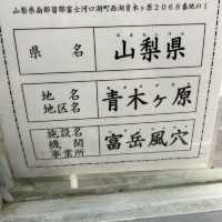 富岳風穴 WIND CAVE