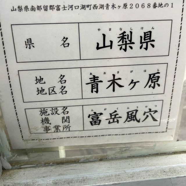 富岳風穴 WIND CAVE