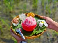 คาเฟ่สายเขียวเหมาะสำหรับช่วงหน้าฝน
