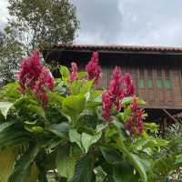 Beautiful resort in the nature, Fifty4Fern