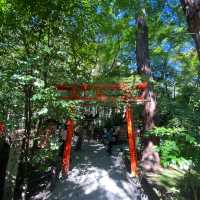 京都嵐山の野宮神社は緑深い神秘的なパワースポット