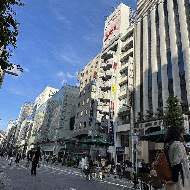 도쿄 쇼핑 거리, 긴자거리🇯🇵
