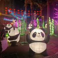 中秋打卡的維園 滿滿燈飾氣氛