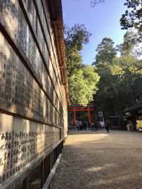 奈良公園賞楓🍁看鹿🦌