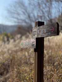 [경기도] 포천 억새밭이 가득한 명성산🏔️