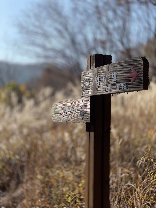 [경기도] 포천 억새밭이 가득한 명성산🏔️