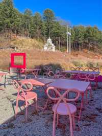 핑크핑크 그 자체카페🩷🩷🩷