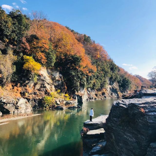 松尾川河川 🌊🛶悠閒划船⛵️🏞️