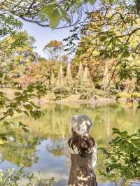 【福井県/福井市】まるで江戸時代にタイムスリップ⁉︎紅葉狩りスポット