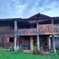 -Le Pler လၢပျၢၤ "เลอเปลอ"🌲-
