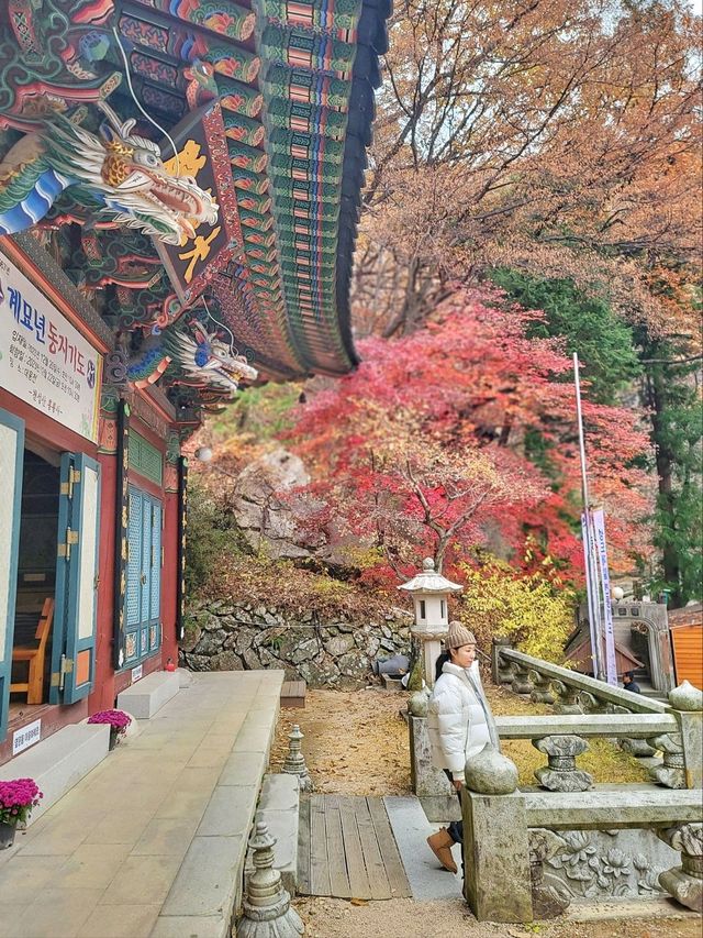 한적하게 거닐기 좋은 아름다운 홍룡사🍂
