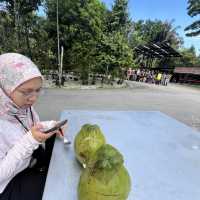HIKING AND JOGGING AT TAMAN TUGU 