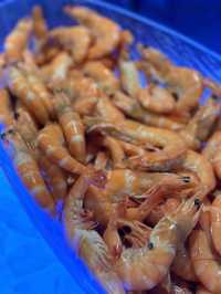《最 滋 補 的 自 助 餐》