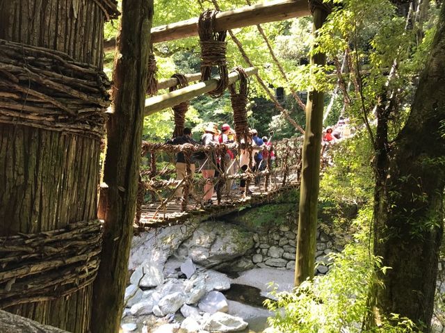 四國景點！日本三大秘景之一，大步危，大步踏過祖谷藤蔓橋🌉