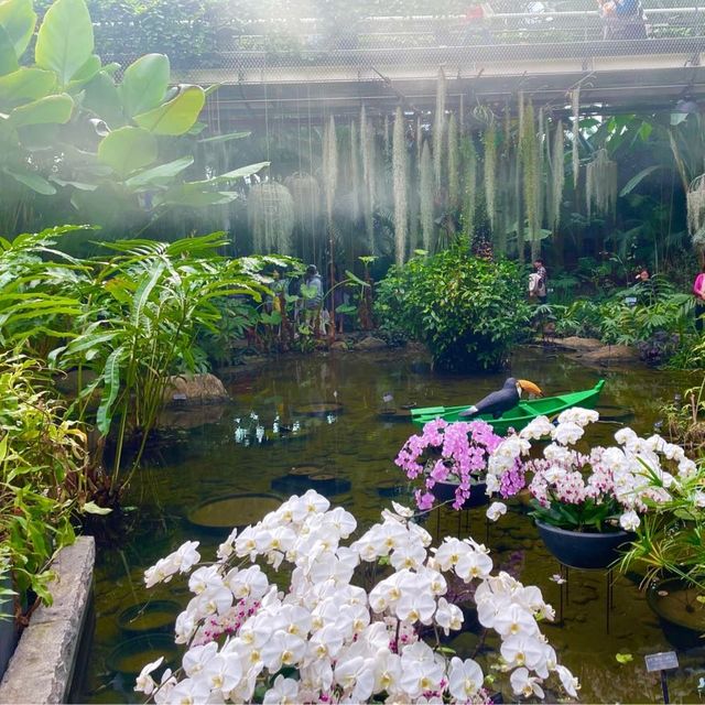 도심 속 푸른 공기를 마실 수 있는 서울 식물원 나들이🌿