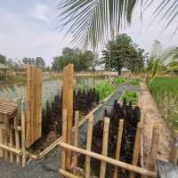 หลบร้อน​ มาผ่อนคลายที่ฟาร์มคาเฟ่​ บุรีรัมย์