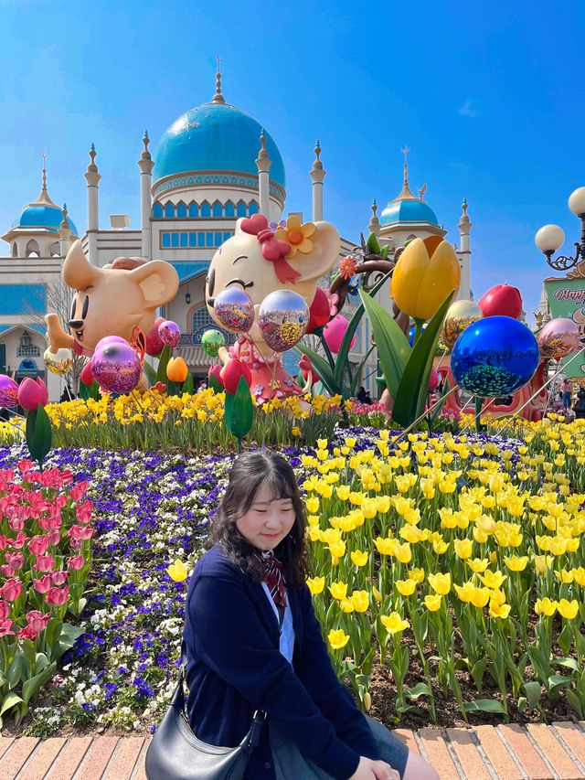 네덜란드 튤립 축제 부럽지 않은 에버랜드🌷