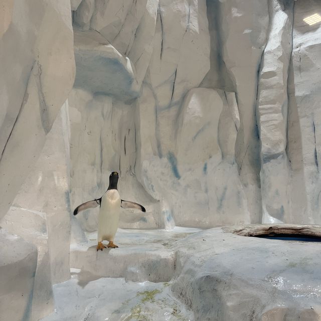海洋公園：南極奇觀