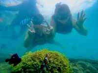 ดำน้ำดูปลานีโม่ @เกาะเสม็ด ระยอง 🐠