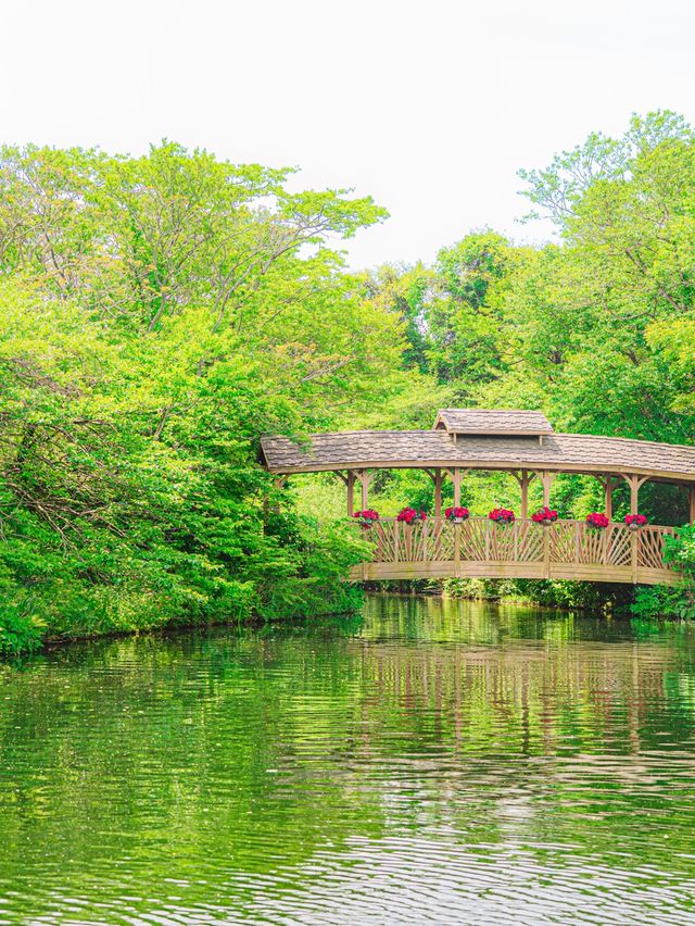 🚂제주에서 동화속으로 기차여행 가능한곳 [제주, 에코랜드]🌿