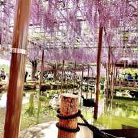 天王川公園