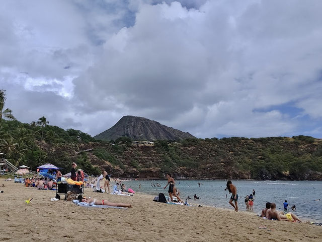 ハワイ【ハナウマ湾】大人気ビーチ🏝️