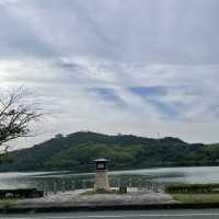 【ペットとお出かけ】浜名湖の湖畔沿いをのんびり散策！
