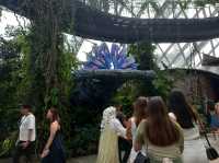 Avatar in Sg!