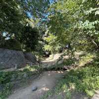 世田谷城址公園