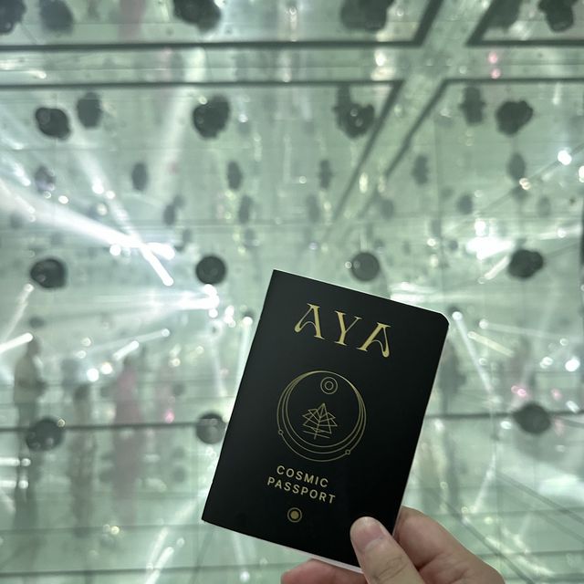 AYA Universe 