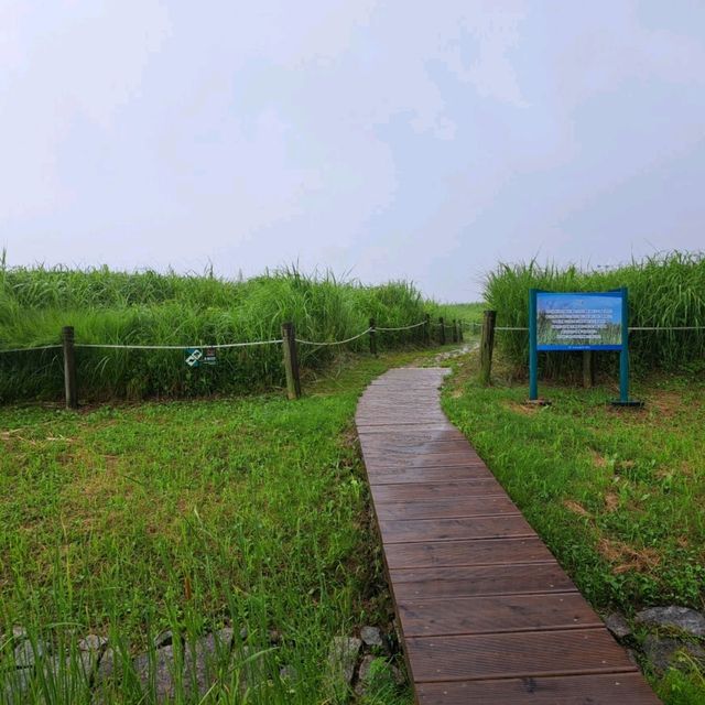 韓國景點📸天空公園🥰親親大自然⭐打卡熱點😍