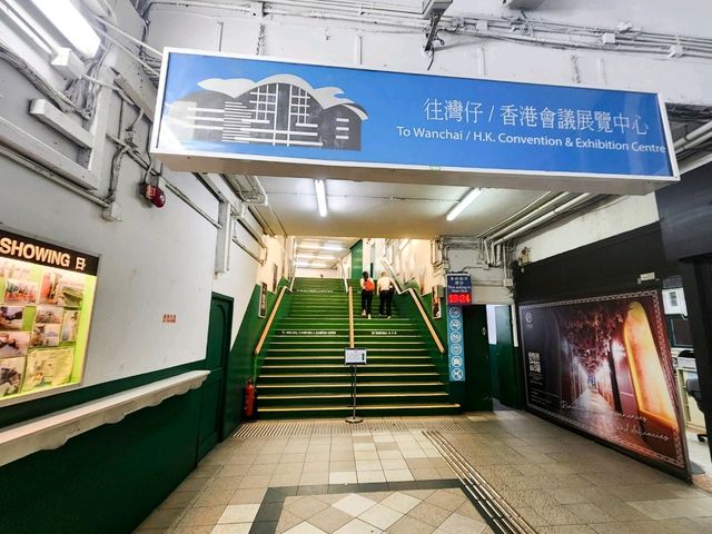 天星小輪遊船樂 ⛴️
