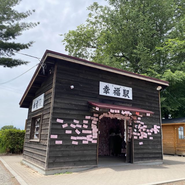 從愛的國度前往幸福，北海道夏日情侶遊