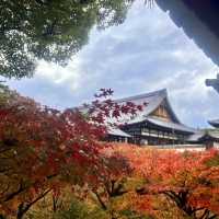 【京都】紅葉の名所🍁東福寺