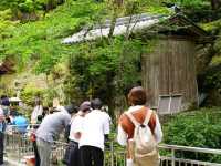 Mount Shosha Engyoji Temple