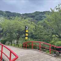 驚奇之旅！在別府海地獄探索火山奇景！🌋🔥🌊