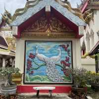 วัดศรีชมภูองค์ตื้อ