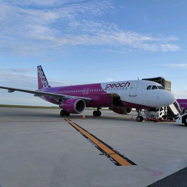 【大阪】ピーチで行く福岡日帰り旅行✈️✈️