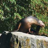 Zoological Gardens Karlsruhe