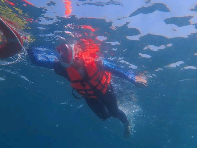 ชมทุ่งประการังที่เกาะย่านเชือก|ทะเลพม่า