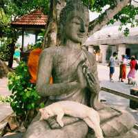 The Big Buddha @ Phuket