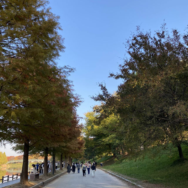 가을 산책하기 좋은 담양 관방제림 