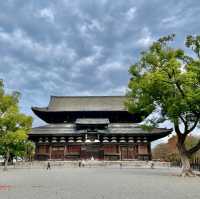 To-ji: Kyoto's Heritage Gem