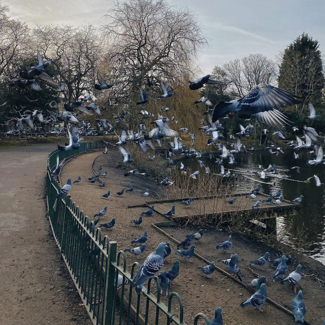 An afternoon in the park 