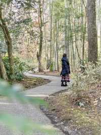 【静岡県/御殿場市】アウトレットだけじゃない！予算¥1500で御殿場満喫