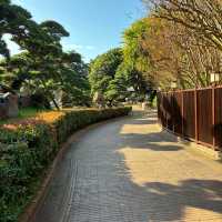Nan Lian Garden