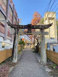 2023年思い出にのこる美肌の神様をまつる豊玉姫神社