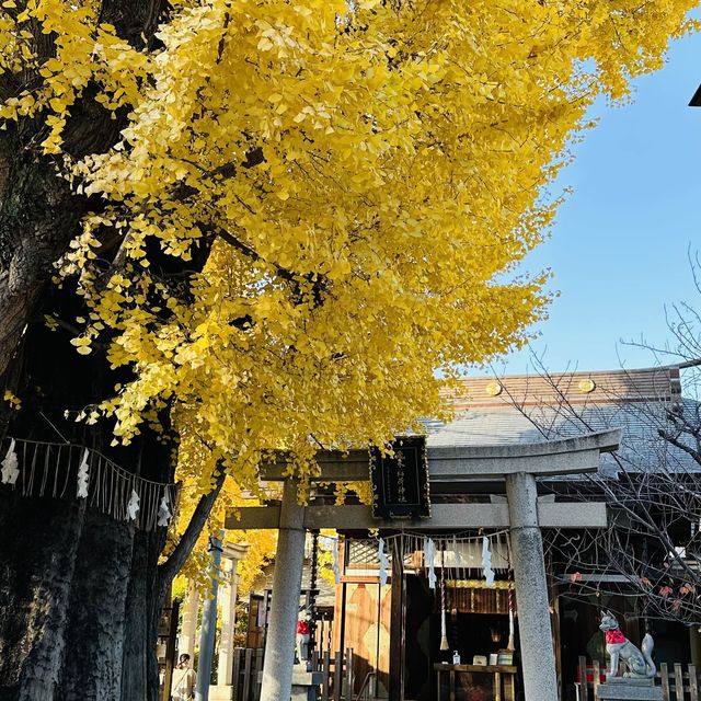 兩個東京巿區隱敞超美銀杏神社