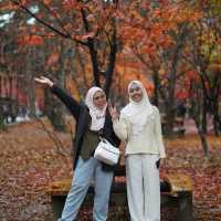 Enjoy the photoahoot in Nami Island